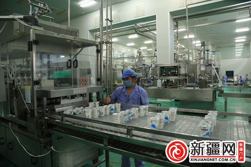 新疆首條乳業全智能系統全面上線 技術驅動下的產業新紀元